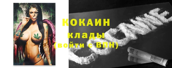 шишки Армянск