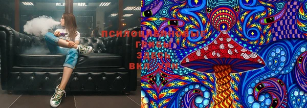 шишки Армянск