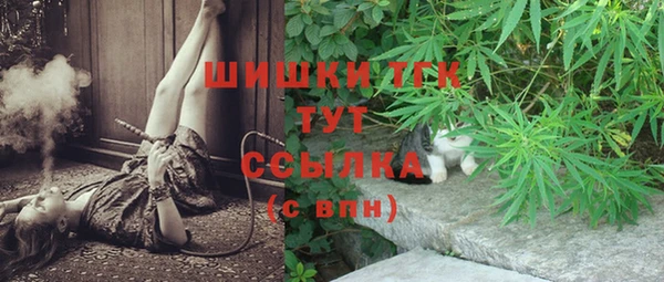 шишки Армянск