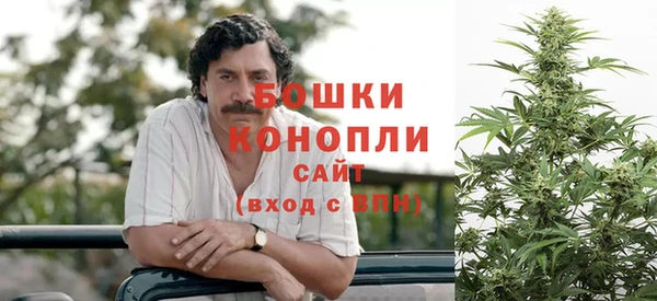 шишки Армянск