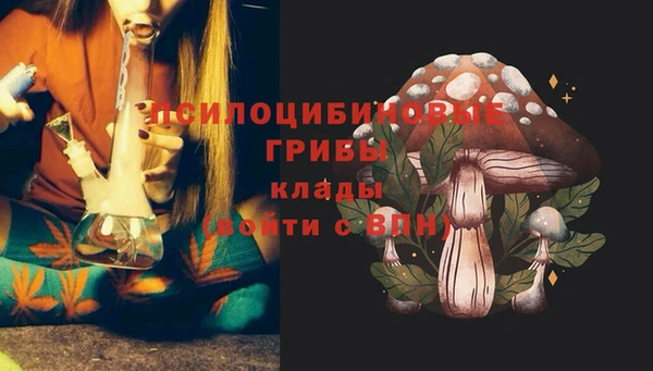 марки nbome Аркадак