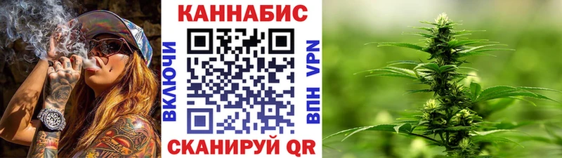 Канабис планчик  хочу наркоту  Стародуб 